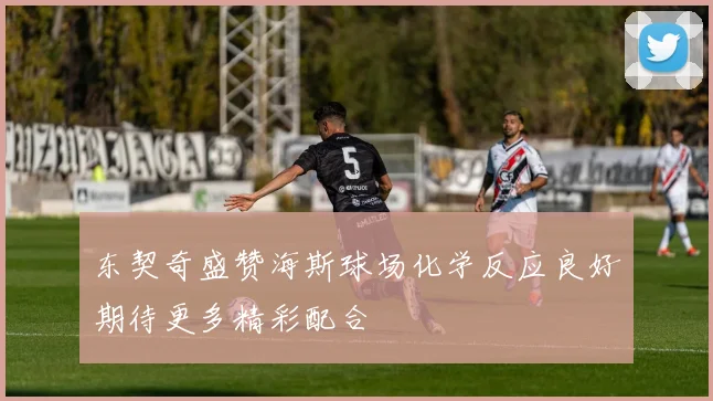 东契奇盛赞海斯球场化学反应良好期待更多精彩配合