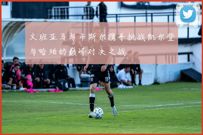文班亚马与卡斯尔携手挑战凯尔登与哈珀的巅峰对决之战