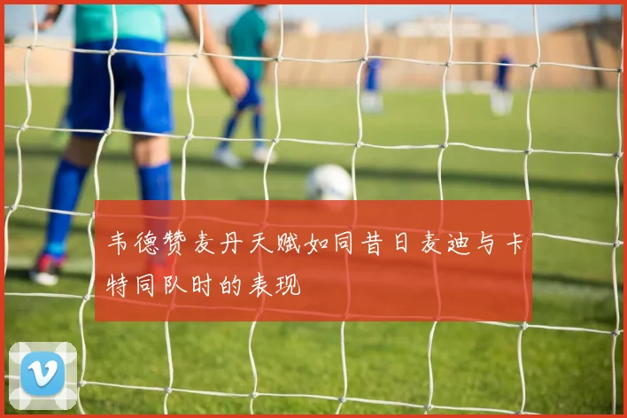 韦德赞麦丹天赋如同昔日麦迪与卡特同队时的表现