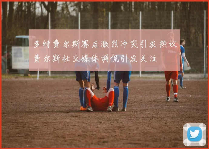 多特费尔斯赛后激烈冲突引发热议费尔斯社交媒体调侃引发关注